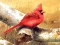 Peli Art Birds Puzzle verkossa