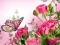 Peli Butterflies Puzzle verkossa