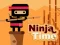 Peli Ninja Time verkossa