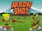 Peli Arrow Shoot verkossa