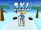Peli Ski Rush 3d verkossa