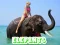 Peli Elephants Puzzle verkossa