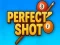 Peli Perfect Shot verkossa