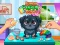 Peli Funny Puppy Care verkossa