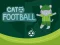 Peli Cat Football verkossa