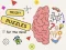 Peli Brain Puzzles Quests verkossa