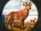 Peli Wild Animal Hunting verkossa