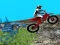 Peli Forest Bike Trials 2019 verkossa