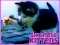 Peli Six Little Kittens verkossa