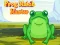 Peli Frog Match Master verkossa