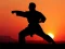 Peli Karate Sunset Warriors verkossa