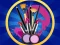 Peli Princess Cosmetic Kit Factory verkossa