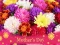 Peli 2019 Mother's Day Puzzle verkossa