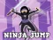 Peli Ninja Jump verkossa