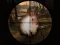 Peli Classical Rabbit Sniper Hunting 2019 verkossa