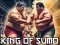 Peli King Of Sumo the ultimate brawl verkossa