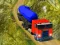 Peli Indian Cargo Truck Simulator verkossa