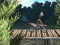 Peli Bike Trial Xtreme Forest verkossa