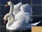 Peli Animals Slide Puzzle verkossa