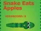 Peli Snake Eats Apples verkossa