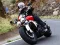 Peli Triumph Rocket 3 verkossa
