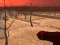Peli Wasteland Shooters verkossa