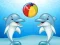 Peli Dolphin Show verkossa