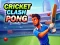 Peli Cricket Clash Pong verkossa
