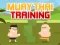 Peli Muay Thai Training verkossa