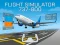 Peli Flight Simulator 737-800 verkossa