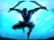 Peli Shadow Ninja Revenge verkossa