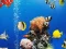 Peli Sea Underwater Difference verkossa