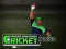 Peli Cricket Fielder Challenge verkossa