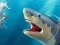 Peli Shark Hunting verkossa
