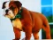 Peli Bulldog Puppy Puzzle verkossa