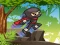 Peli Ninja Jungle Adventures verkossa