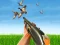 Peli Bird Hunting verkossa