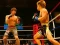 Peli MMA Fighters Jigsaw verkossa