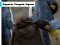 Peli Emperor Penguin Jigsaw verkossa