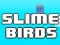 Peli Slime Birds verkossa