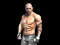 Peli Fight Arena Online verkossa