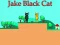 Peli Jake Black Cat verkossa