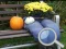 Peli Autumn Garden Find 100 butterflies verkossa