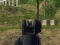Peli Army Shooter verkossa