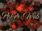 Peli Poker Web verkossa