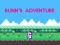 Peli Bunn's Adventure verkossa
