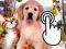 Peli Pets Clicker verkossa