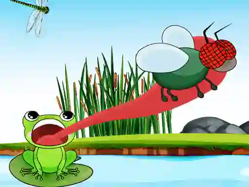 Peli Hungry Frog verkossa