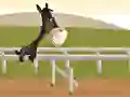 Peli Horsey Run Run 2 verkossa
