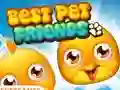 Peli Best Pet Friends verkossa